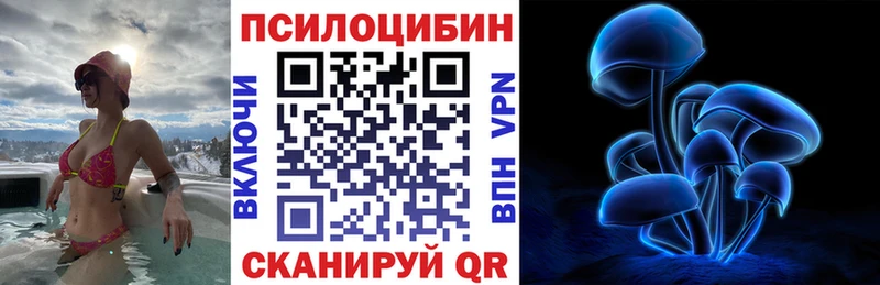 Галлюциногенные грибы Psilocybe  Островной 